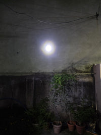 Joseph
