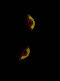 Aysha Niyas